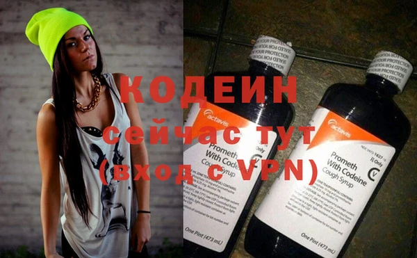 гашик Пионерский