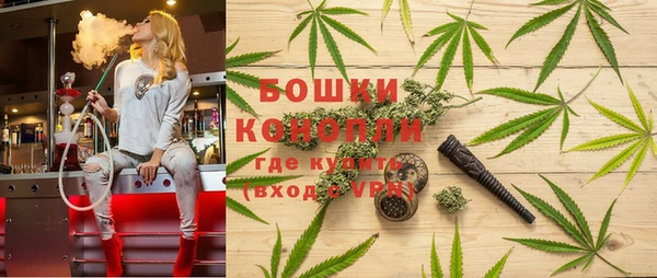 apvp Белокуриха