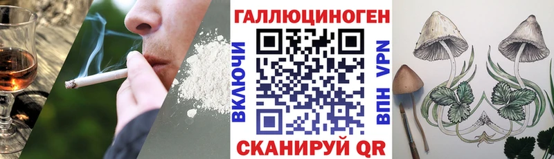 Галлюциногенные грибы Cubensis как найти закладки Сковородино